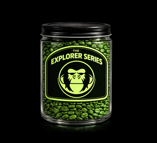 Explorer Program